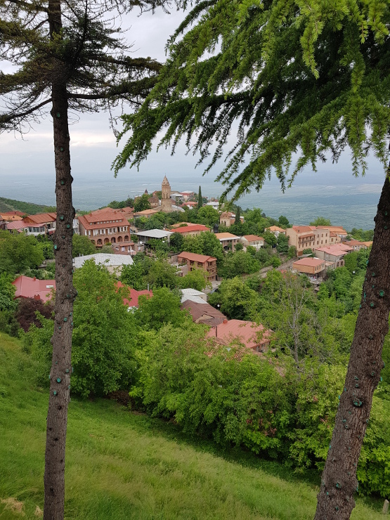 The Grand Tour of the Caucasus img